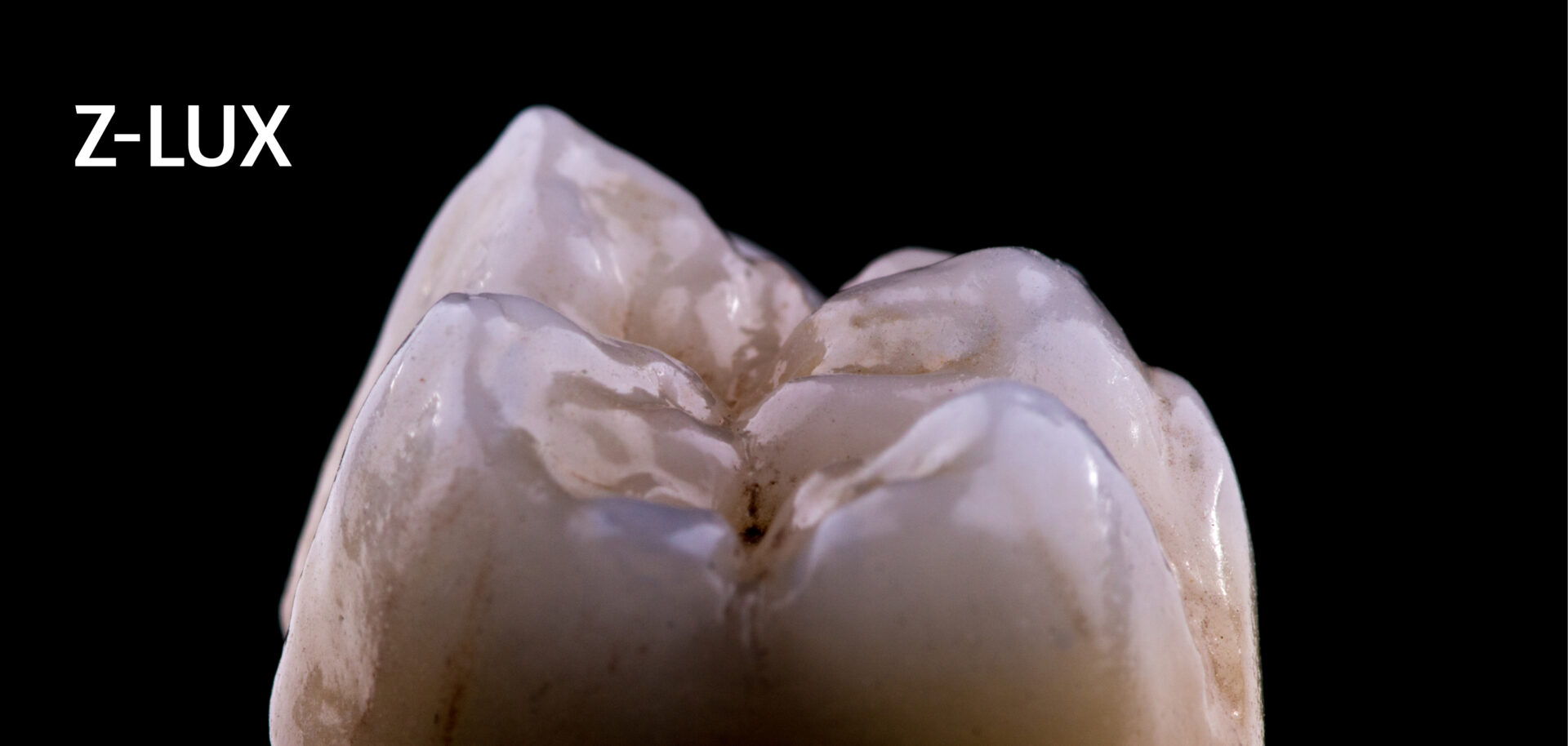 A close-up of a tooth